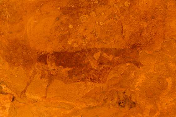 Rock painting of a cow, Neolithic rock art, Tadrart region, Tassili n ́Ajjer National Park, Sahara, North Africa