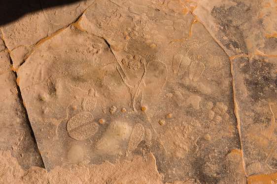 Rock engravings of animal tracks, Neolithic rock art, Ouan Tikal, Tadrart region, Tassili n ́Ajjer National Park, Sahara, North Africa