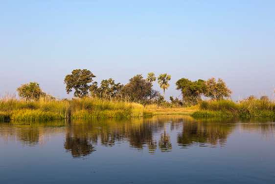 Reflections in water, Okavango Delta