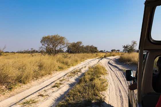 Sandy track, Savuti region, Chobe National Park