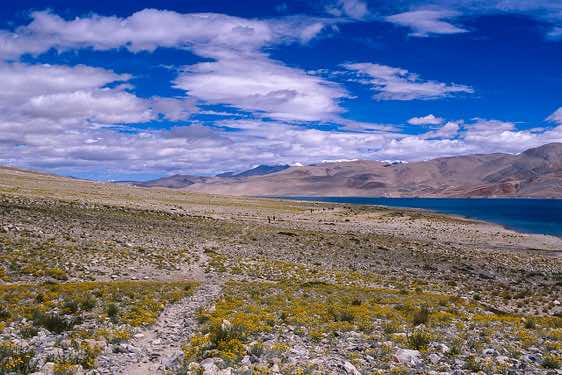 Tso Moriri lake, Changtang region, Ladakh, Spiti to Ladakh Trek