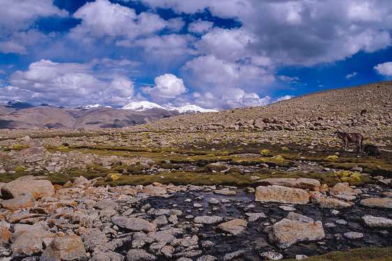 Mentok Peak Basecamp, 5400m, Rupshu region, Ladakh
