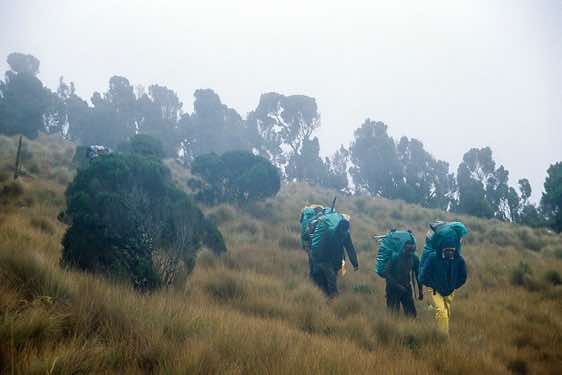 Porters in the mist, Burguret route