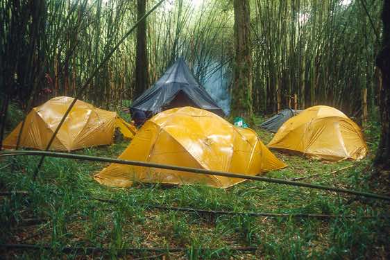 Campsite inside the bamboo forest, Burguret route