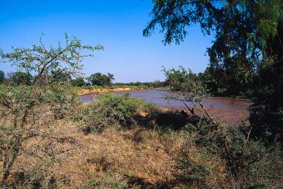 Ewaso Ngiro River, Samburu National Reserve