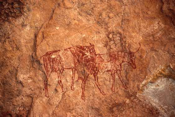 Painting of curvy-horned cattle in the Wan Amil cave, Jabal Akakus