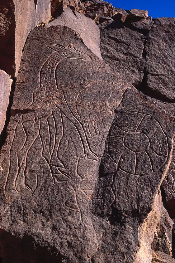 Giraffe rock carving, Wadi Matkhandush, Messak Settafet