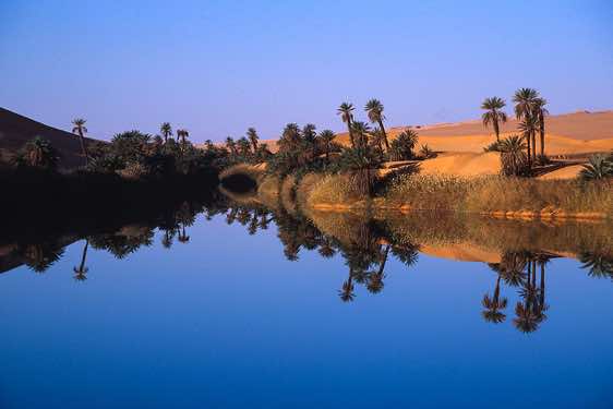 Date palm trees surround Um el Ma lake in the Ubari Sand Sea (Edeyen Ubari)