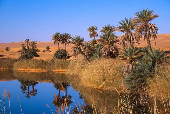 Um el Ma is one of the lakes in the Ubari Sand Sea (Edeyen Ubari) which still has plenty of (salty) water