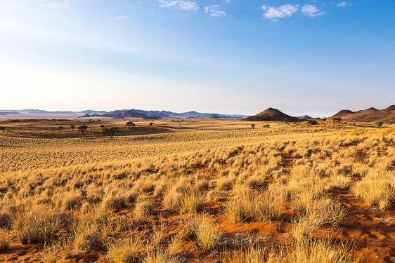NamibRand dunes, NamibRand Nature Reserve, Namib Desert