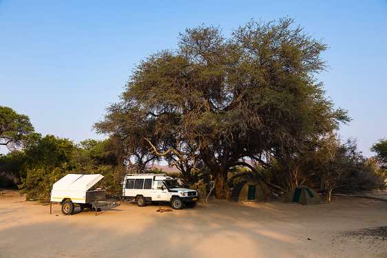 Camelthorn trees provide shade at Purros Community Campsite, located on the banks of the Hoarusib River, Kaokoland