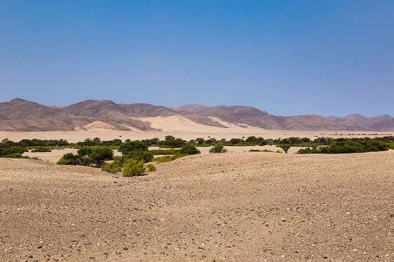 Desert landscape near Purros and Hoarusib River, Kaokoland