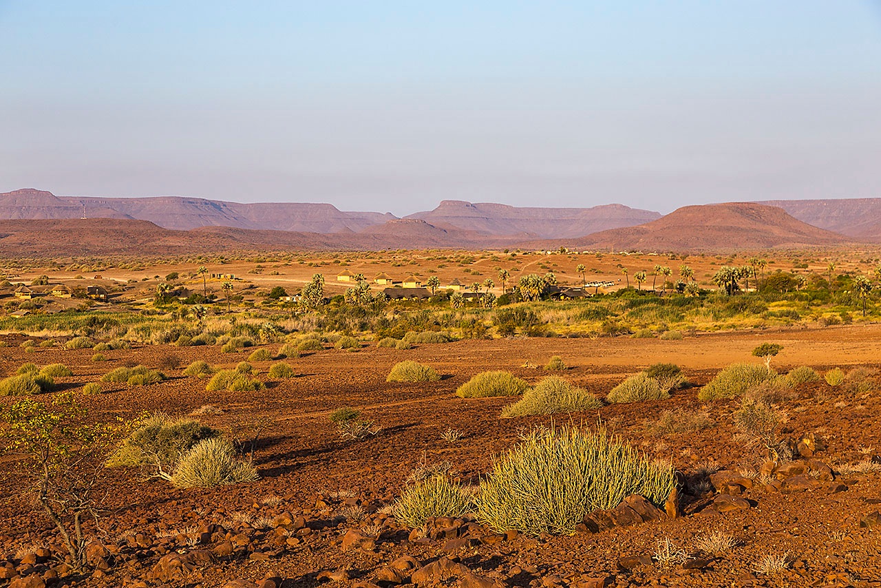 Dry open landscape with Damara Milk-bush or Melkbos (Euphorbia damarana) and hills at sunset, Palmwag, Kunene Region, Damaraland