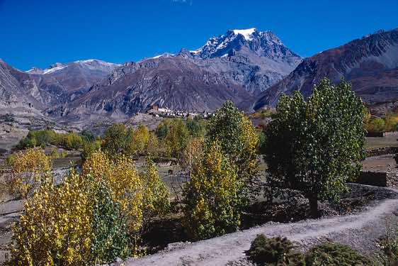 Autumn colours on the trail from Jharkot to Kagbeni
