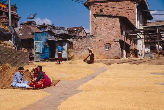 Grain on the streets of Bhaktapur
