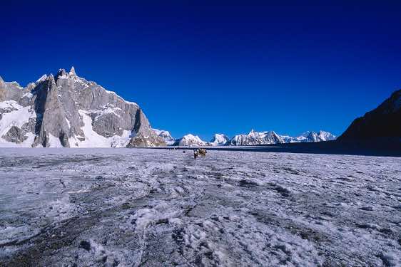 Group of porters on the Biafo Glacier, Karakoram Mountains