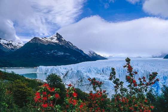 The Perito Moreno Glacier advances into the Lago Argentino, Los Glaciares National Park, Argentina