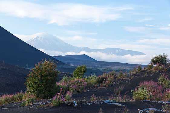 Tolbachik volcano in clouds, seen from the 'Dead Forest', Klyuchevskoy Nature Park