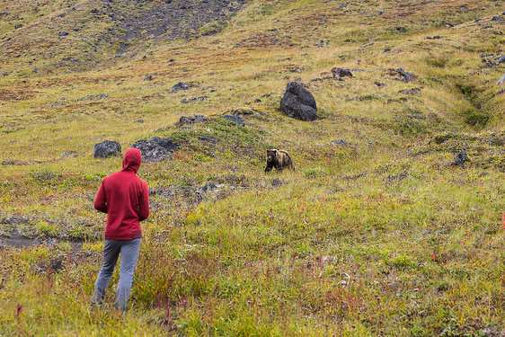 Guide Igor observes an approaching bear, around Tolbachik trek, Klyuchevskoy Nature Park