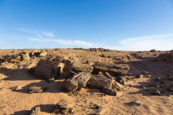Site of petrified wood in the desert near Old Dongola