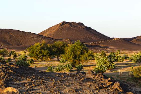 Landscape Bayuda Desert, Northern Sudan