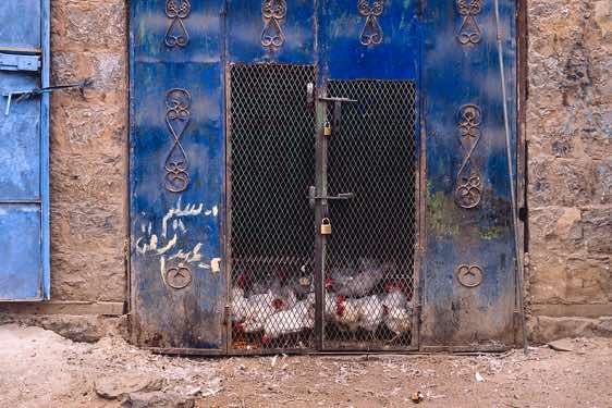 Chicken prison, Al Tawilah