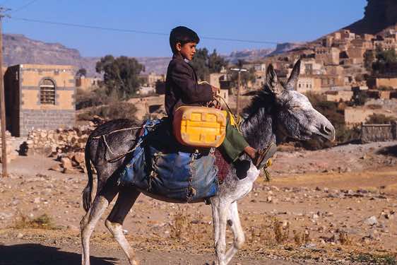 Boy riding a donkey