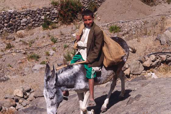 Boy riding a donkey, Haraz mountains