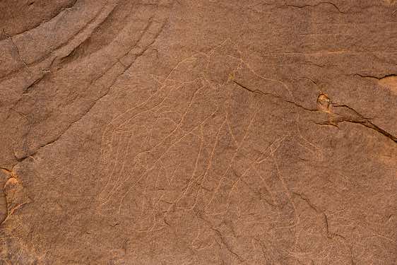 Elephant engraving, Neolithic rock art, Tadrart region, Tassili n ́Ajjer National Park, Sahara, North Africa