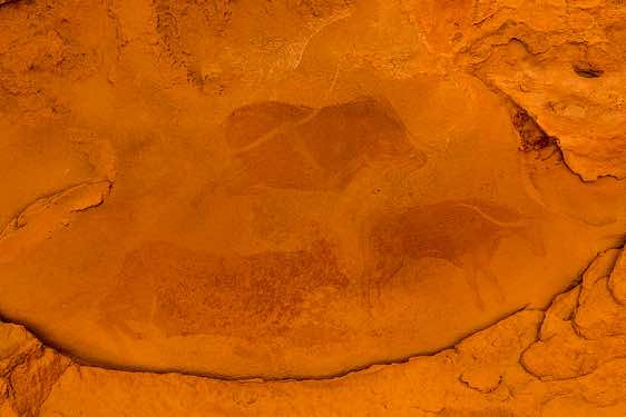 Rock painting of cows, Neolithic rock art, Tadrart region, Tassili n ́Ajjer National Park, Sahara, North Africa