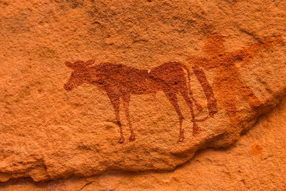 Rock painting of a cow, Neolithic rock art, Tadrart region, Tassili n ́Ajjer National Park, Sahara, North Africa
