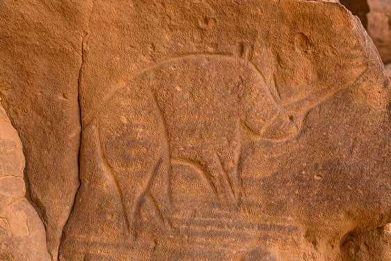 Rock engraving of a rhino, Neolithic rock art, Tadrart region, Tassili n ́Ajjer National Park, Sahara, North Africa