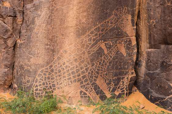 Giraffe rock engraving, Neolithic rock art, Tadrart region, Tassili n ́Ajjer National Park, Sahara, North Africa
