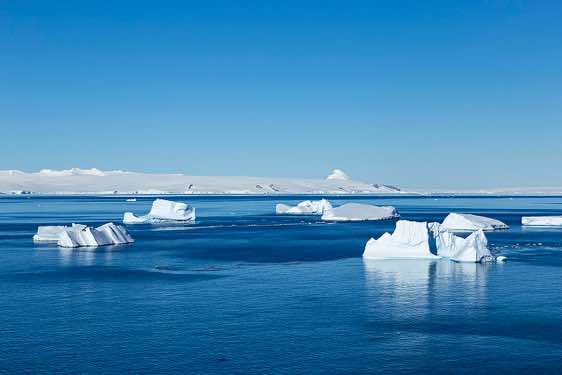 Floating icebergs, Brown Bluff, Tabarin Peninsula, Antarctica
