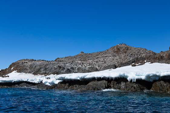 Adelie penguin colony on the rocky hillside, Kinnes Cove, Joinville Island, Antarctica