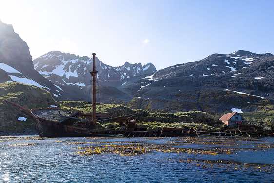 Prince Olav is one of South Georgia’s old whaling stations. The shipwreck of the Brutus, which sits at the point of the abandoned station, was once used as a floating storage hulk when the station was operational.