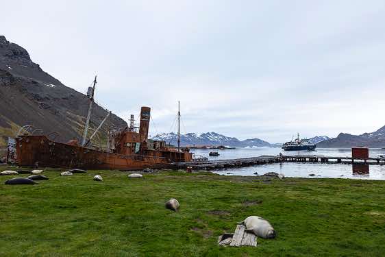 Ship wreck at the abandoned whaling station in Grytviken, South Georgia