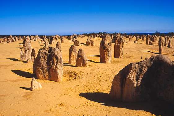 The Pinnacles, huge limestone pillars, Nambung National Park, Western Australia