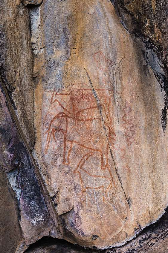 Rock painting, Savuti region, Chobe National Park