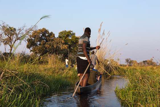 Mokoro ride, Okavango Delta