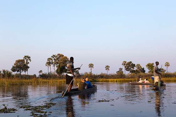 Mokoro ride, Okavango Delta