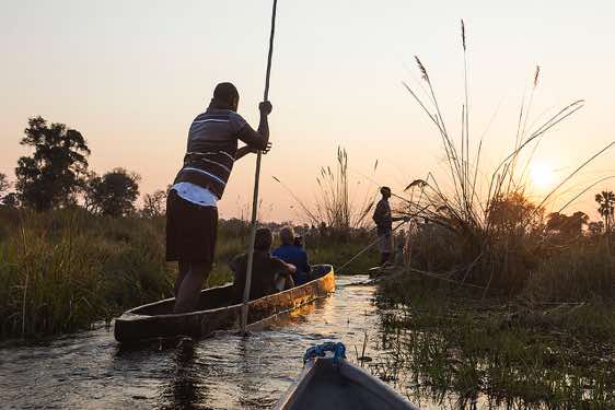 Mokoro ride at sunset, Okavango Delta