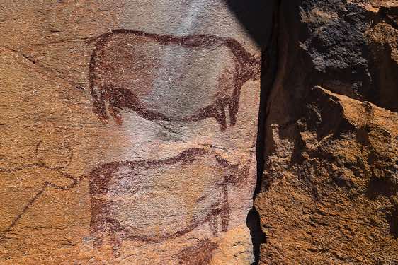 Rhinoceros rock painting, Tsodilo Hills