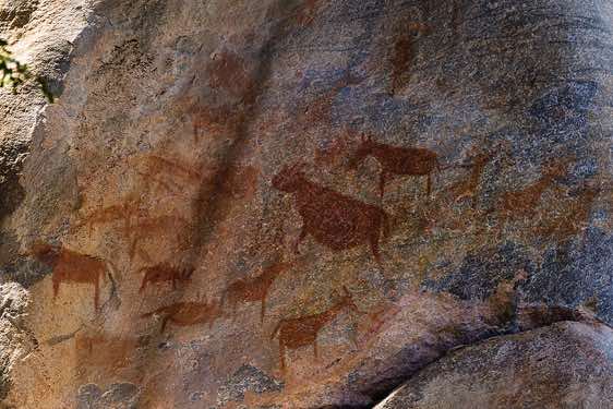 Animals rock painting, Tsodilo Hills