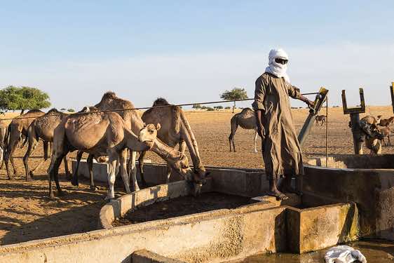 Nomads draw water from a well to water their herds