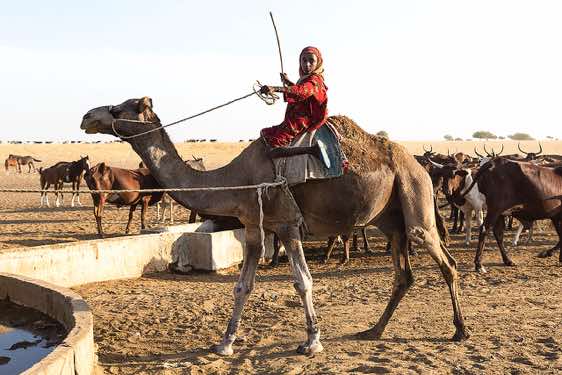 Nomad girl on a camel at a well