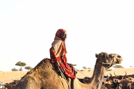 Nomad girl on a camel at a well
