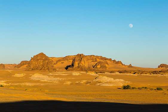 Desert landscape near campsite in late afternoon light