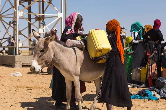 Nomad girls loading a donkey with water canisters