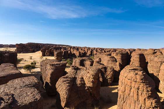 Weathered sandstone pinnacles, Labyrinthe d'Oyo, Ennedi Mountains, northeastern Chad